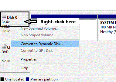 convert disk dyanmic